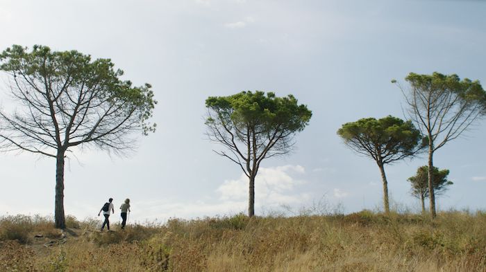 Gencat Incendis Excursió
